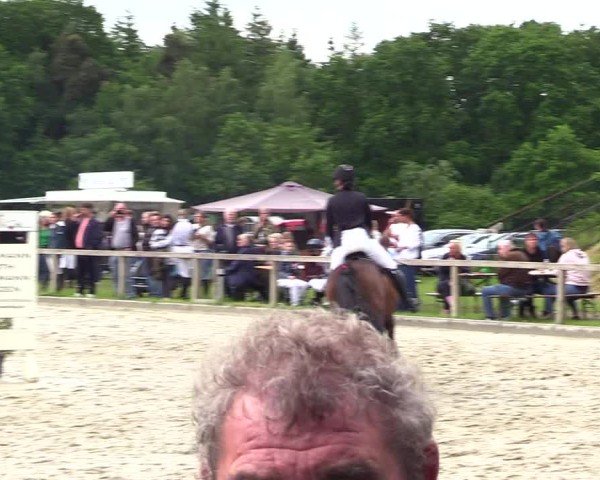 Reitturnier Kropp 2025