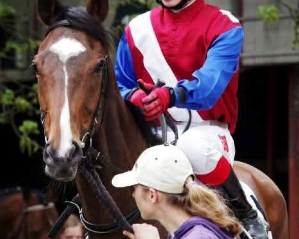 horse Agrese (Thoroughbred, 2008, from Bully Pulpit xx)