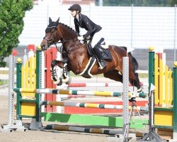 broodmare Chica de Luna (Hanoverian, 2009, from Chico's Boy)