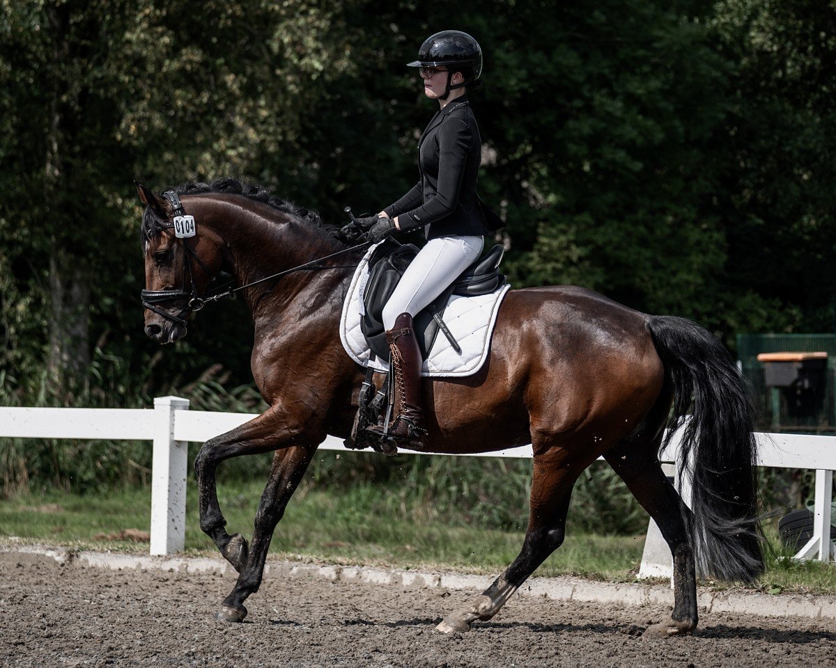 dressage horse Fabulous Fabiola (Oldenburg, 2016, from Florenz 71)