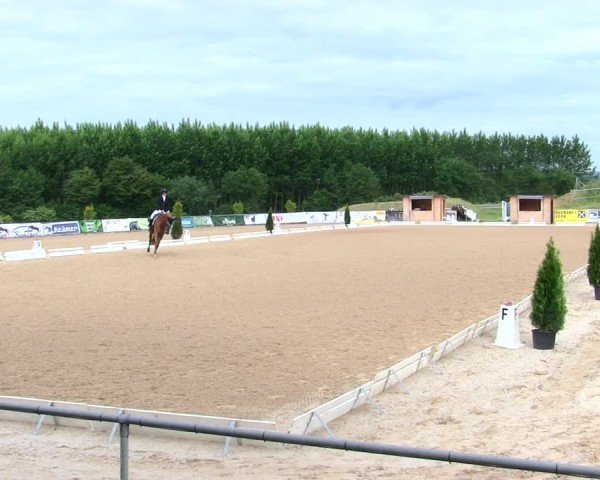 Reitturnier Münster/Ndb. 2025
