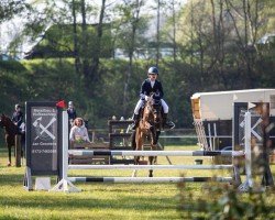 jumper Martin 49 (German Riding Pony, 2002, from Martini)