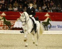 Deckhengst Peralta dos Pinhais (Lusitano, 1996, von Hipolito)