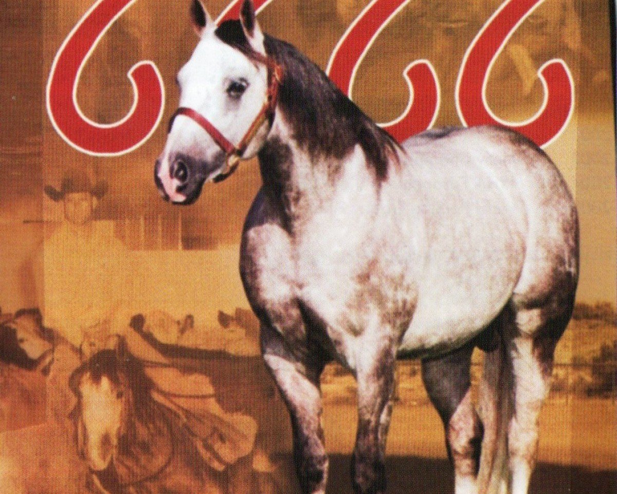 Horse Seven From Heaven (Quarter Horse, 1999, from Playgun)
