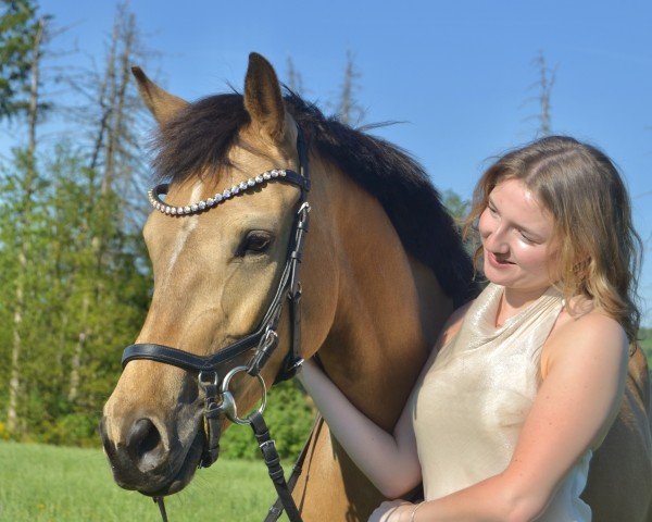 jumper Chiara DS (German Riding Pony, 2020, from FS Champion de Luxe)