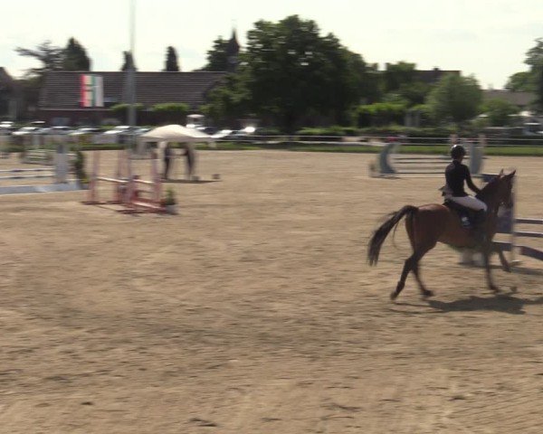 Reitturnier Langenfeld - Gut Langfort 2025