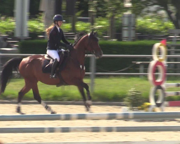 Reitturnier Langenfeld - Gut Langfort 2025