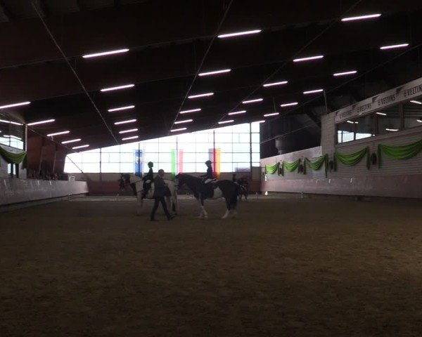 Reitturnier Hellefeld 2025