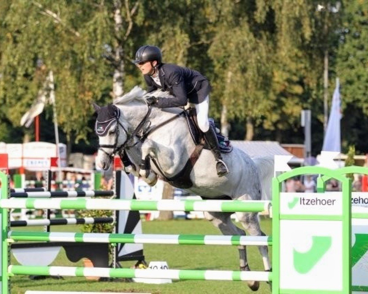 Zuchtstute Call Me Sox (Holsteiner, 2007, von Catoki)