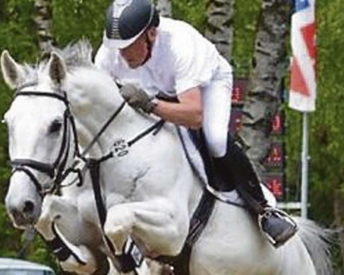 Springpferd Kiss PJ (Hannoveraner, 2004, von Kolibri 2705)