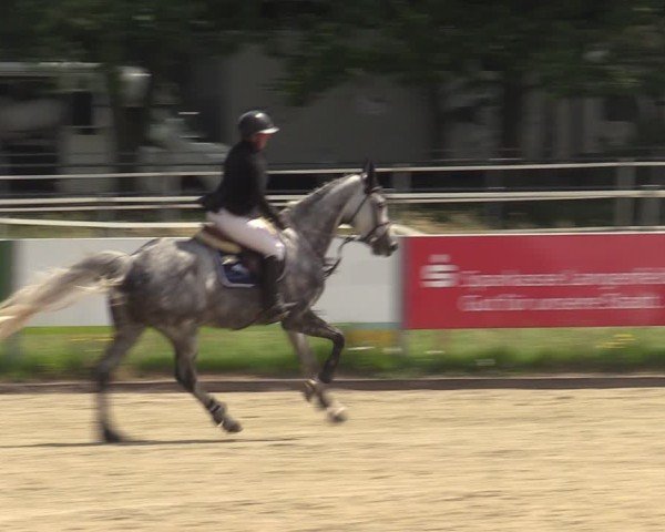 Reitturnier Langenfeld - Gut Langfort 2025