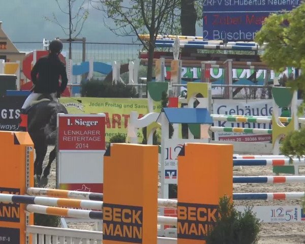 Reitturnier Werne-Lenklar 2014