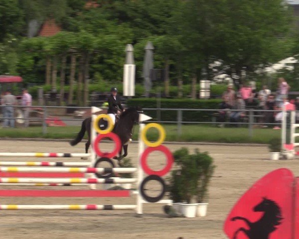 Reitturnier Langenfeld - Gut Langfort 2025