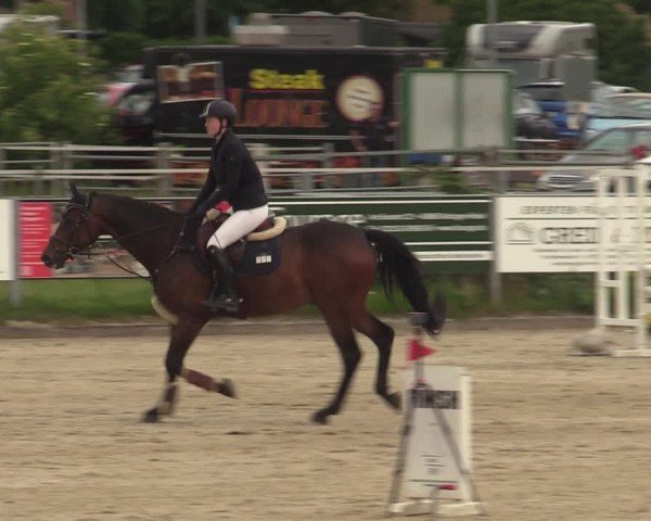 Reitturnier Langenfeld - Gut Langfort 2025