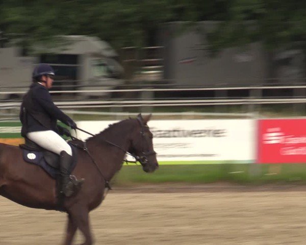 Reitturnier Langenfeld - Gut Langfort 2025