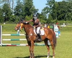 jumper Mister McDreamy xx (Thoroughbred, 2020)