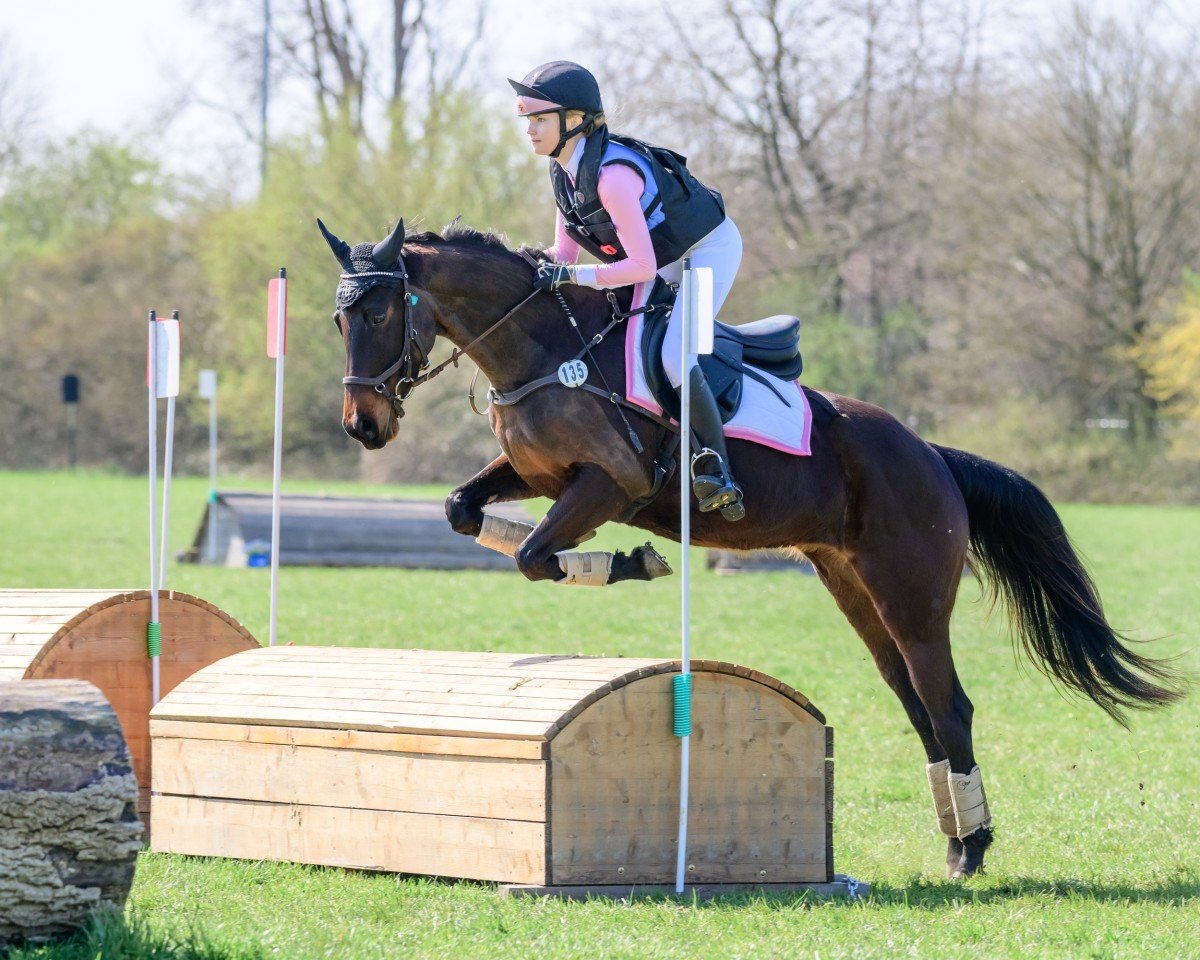 jumper Rosie Rosebud (Pony without race description, 2018)