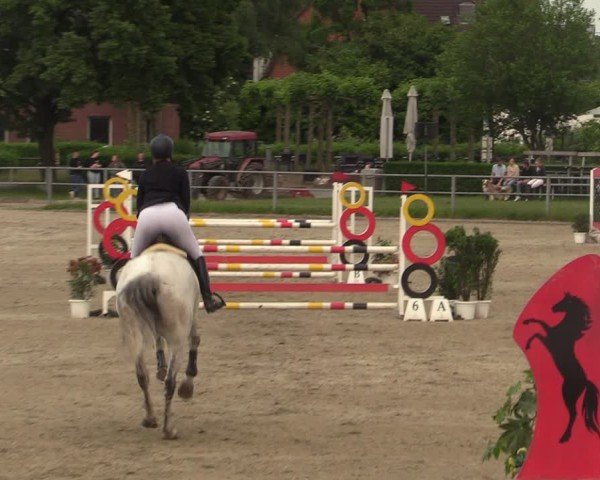 Reitturnier Langenfeld - Gut Langfort 2025