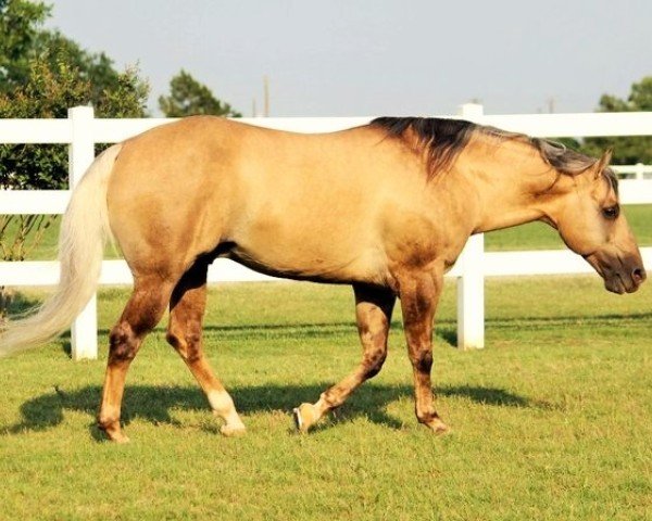 horse Tinsel Jac (Quarter Horse, 2002, from Dolls Union Jac)