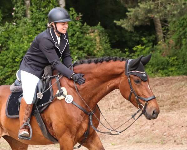Springpferd Moon VDA (KWPN (Niederländisches Warmblut), 2017, von Gunner Ks)