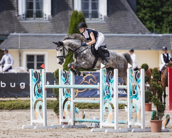 Springpferd Orlanda Gh (Rheinländer, 2018, von Orlando van de Heffinck)