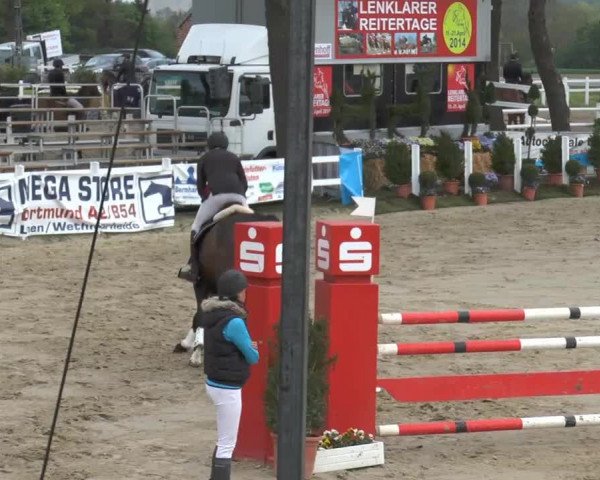 Reitturnier Werne-Lenklar 2014