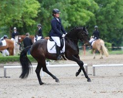 dressage horse Fiene (Westphalian, 2018, from Fürstino)