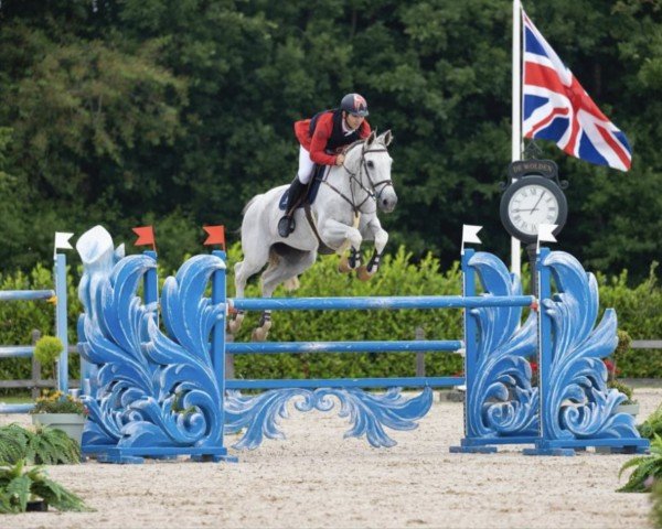 jumper Fiorucci (Belgium Sporthorse, 2011, from E Pleasure)