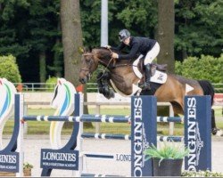 Springpferd Quabriolet van het Bildeken (Belgisches Warmblut, 2016, von Anakin)