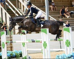 jumper Nanett (Swedish Warmblood, 2016, from Bengt Nabab)