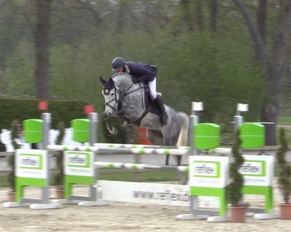 Springpferd Call Me Jb (Westfale, 2015, von Call Me Number One)