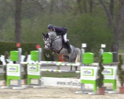 jumper Call Me Jb (Westphalian, 2015, from Call Me Number One)