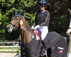 jumper Kanndarco's Kaskade (Oldenburg show jumper, 2018, from Kanndarco)