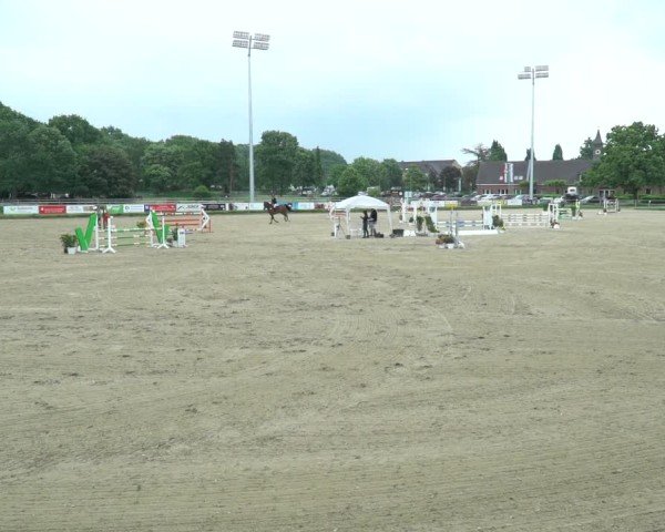 Reitturnier Langenfeld - Gut Langfort 2025