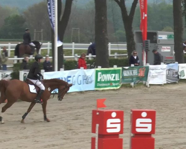 Reitturnier Werne-Lenklar 2014