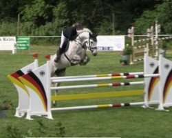jumper Cee Coach RS (Hanoverian, 2019, from Colman)