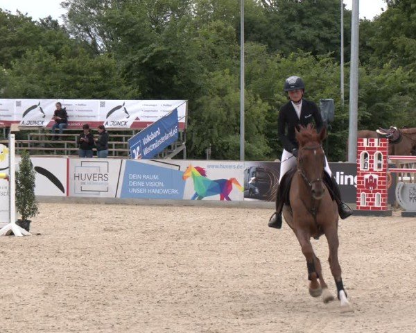 Reitturnier Borken 2025