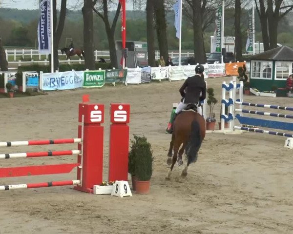 Reitturnier Werne-Lenklar 2014