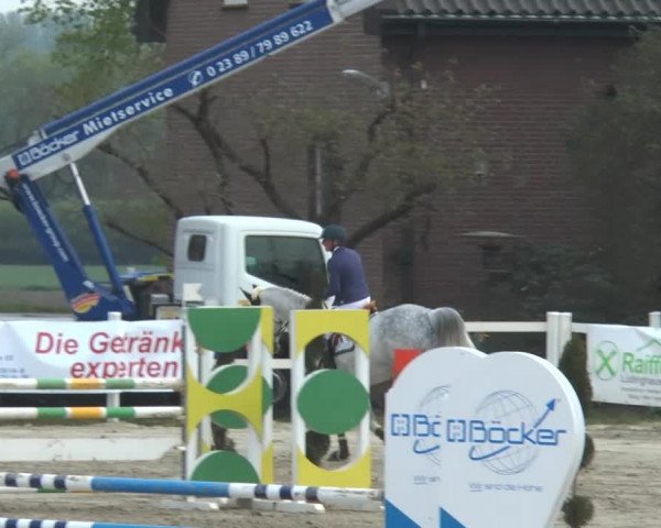 Lenklarer Reitertage 2014