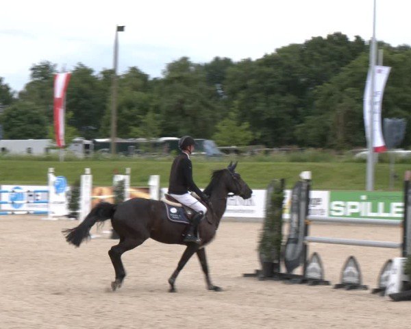 Reitturnier Borken 2025