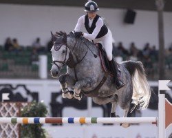 Springpferd Oreo Vom Weihergut CH (Schweizer Warmblut, 2016, von Diamant de Semilly)