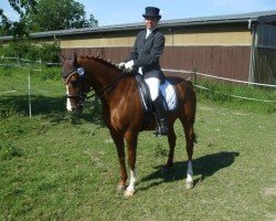Cavallo da Dressage Jolly Jumper 104 (sconosciuto, 1995)