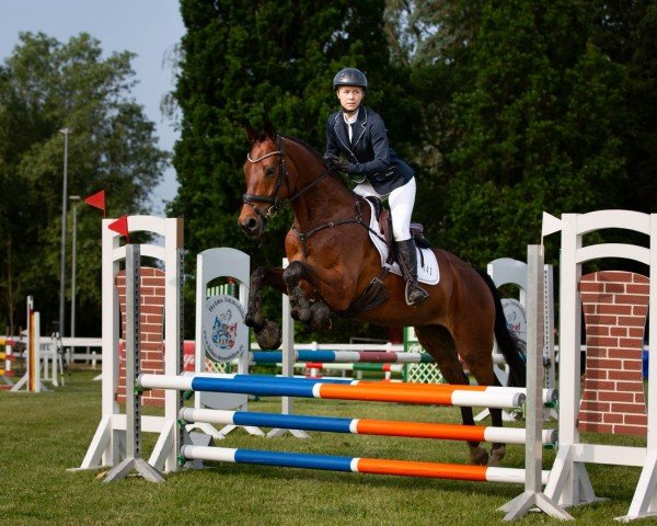 jumper Balerion (Oldenburg, 2020, from Blue Hors Baron)