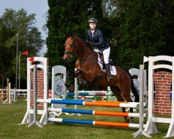 jumper Balerion (Oldenburg, 2020, from Blue Hors Baron)