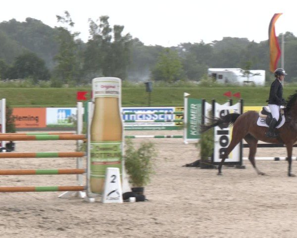 Reitturnier Borken 2025
