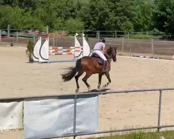 Video von Namika T