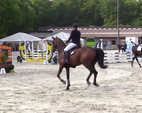 Reitturnier Kropp 2025