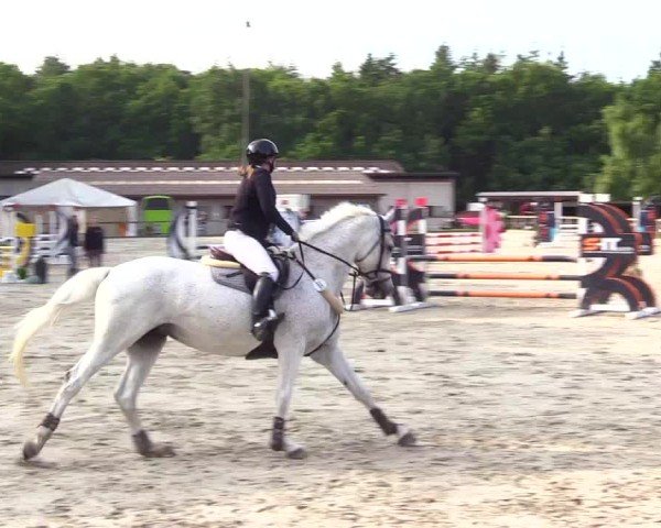 Reitturnier Kropp 2025