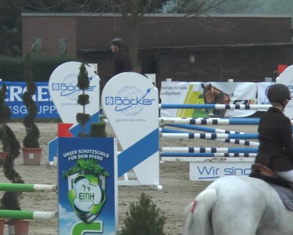 Lenklarer Reitertage 2014
