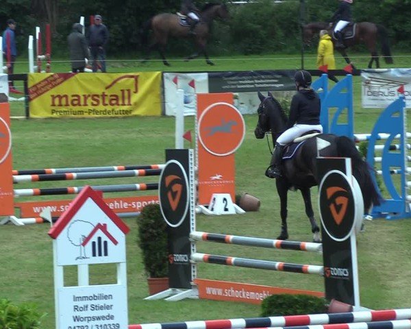 Reitturnier Pennigbüttel 2025